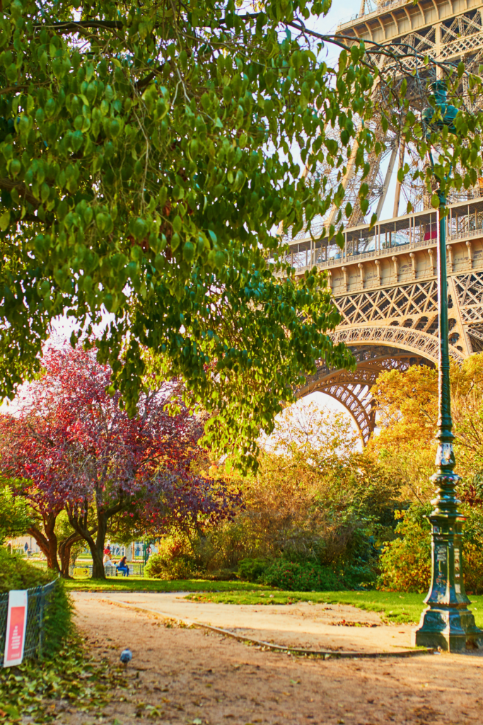 cherry blossoms at Champ de Mars.