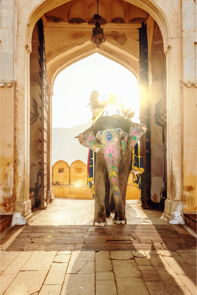 Known as the "Pink City," Jaipur dazzles with its royal palaces, vibrant markets, and desert charm.