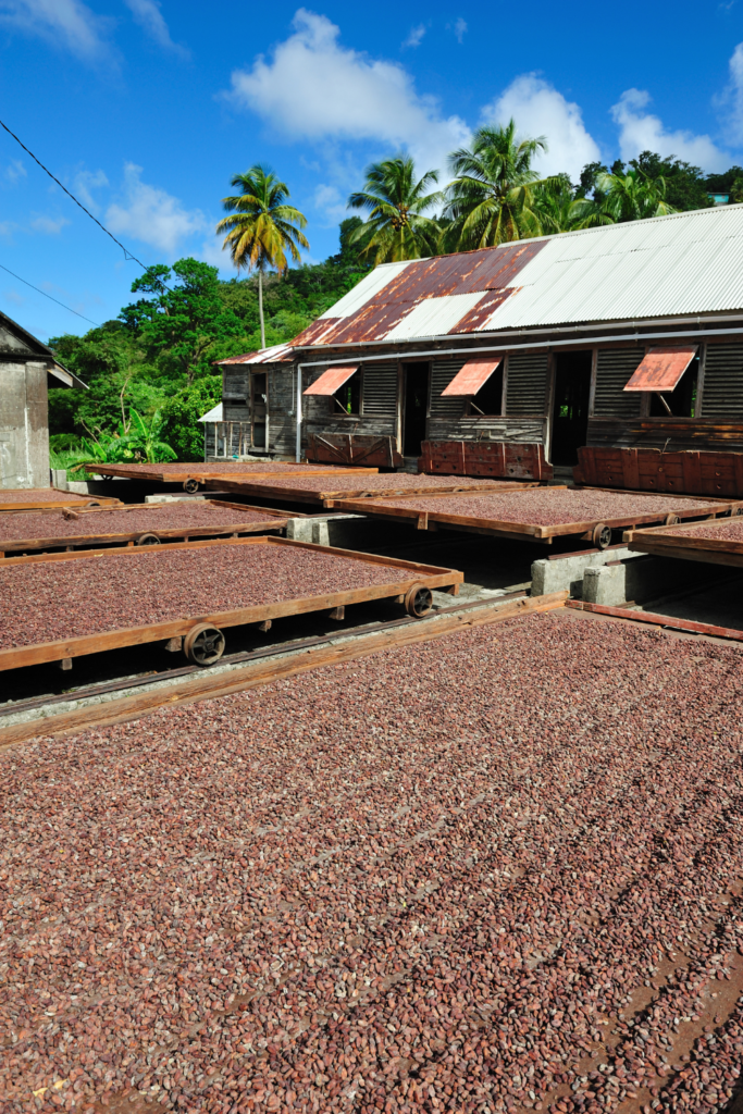 Grenada’s spice plantations offer an immersive experience into the island’s agricultural heritage.