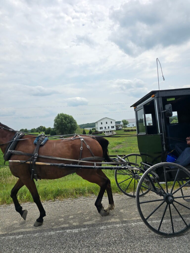 Horse-drawn Amish buggy traveling through the countryside near Lake Wapello State Park in Iowa