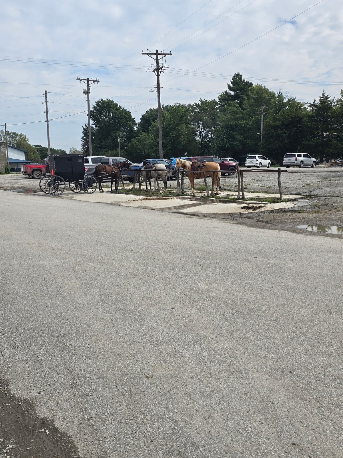 Amish buggy and saddled horses at a hitching rail in Jamesport, Missouri