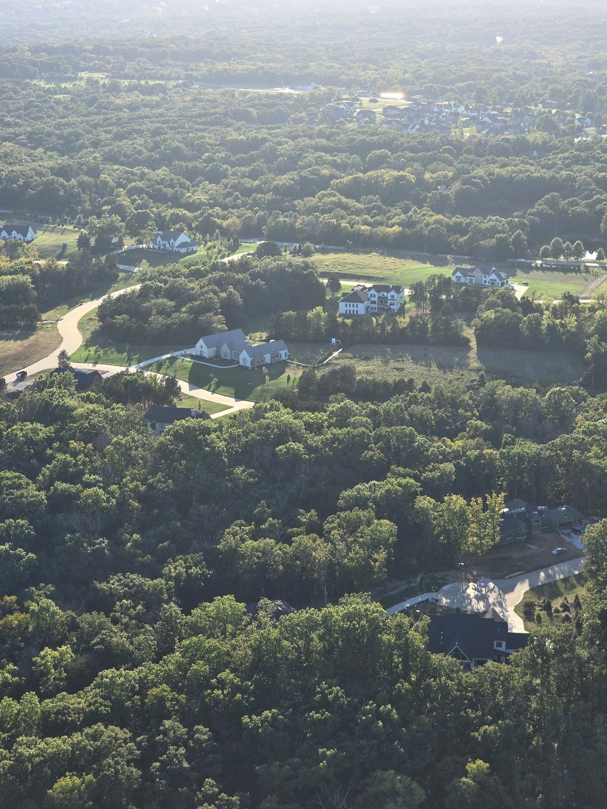 Homes and winding driveways among trees seen from above