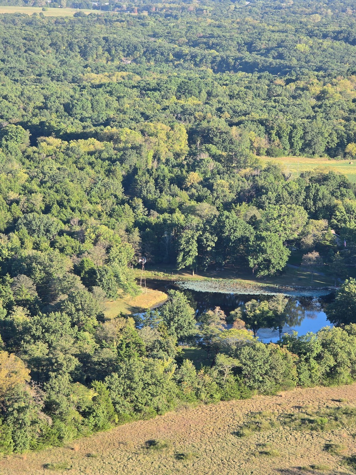 Creek winding through woods seen from a hot air balloon