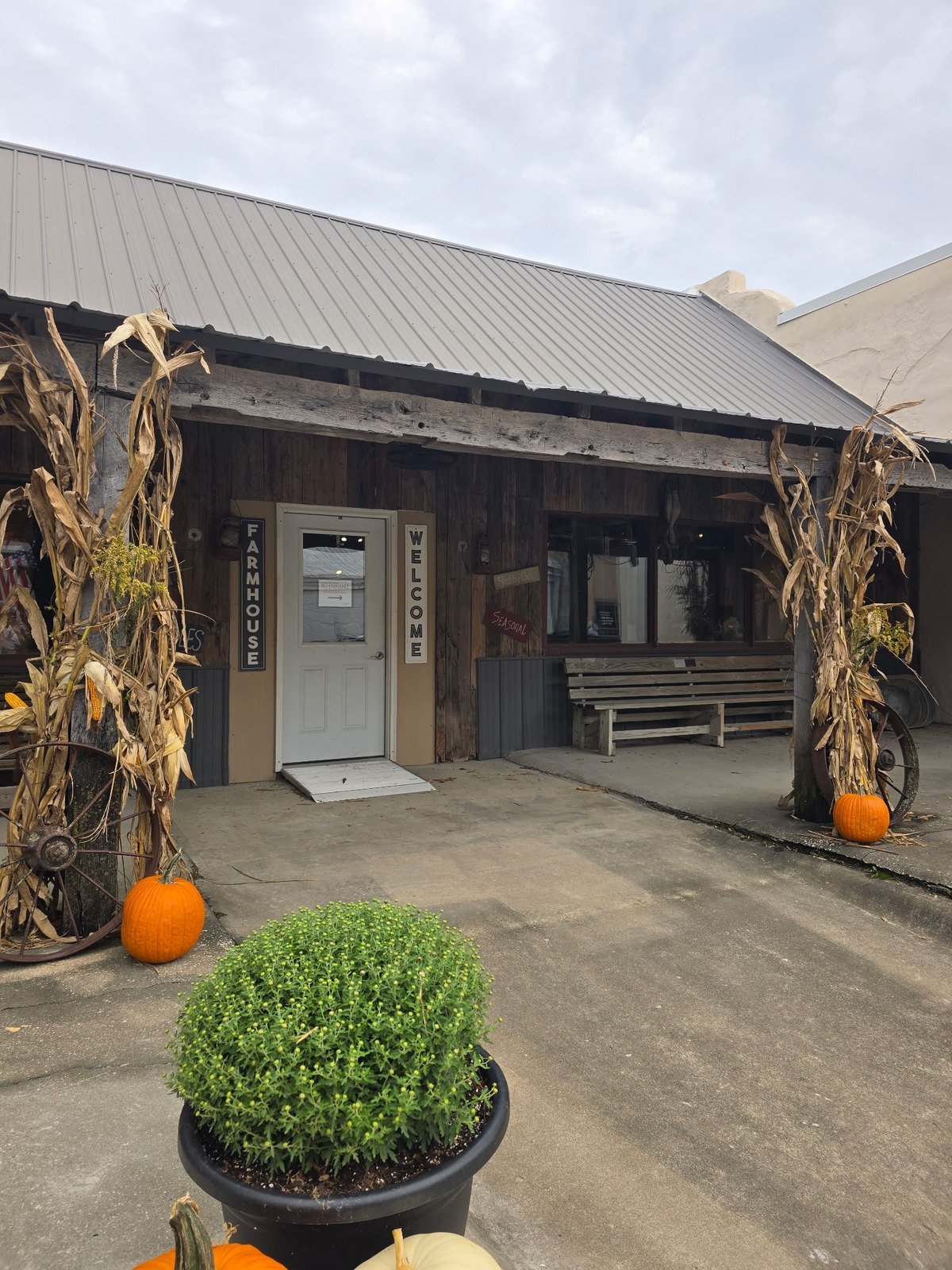 Rustic farmhouse shop porch decorated with corn stalks, pumpkins and a mum
