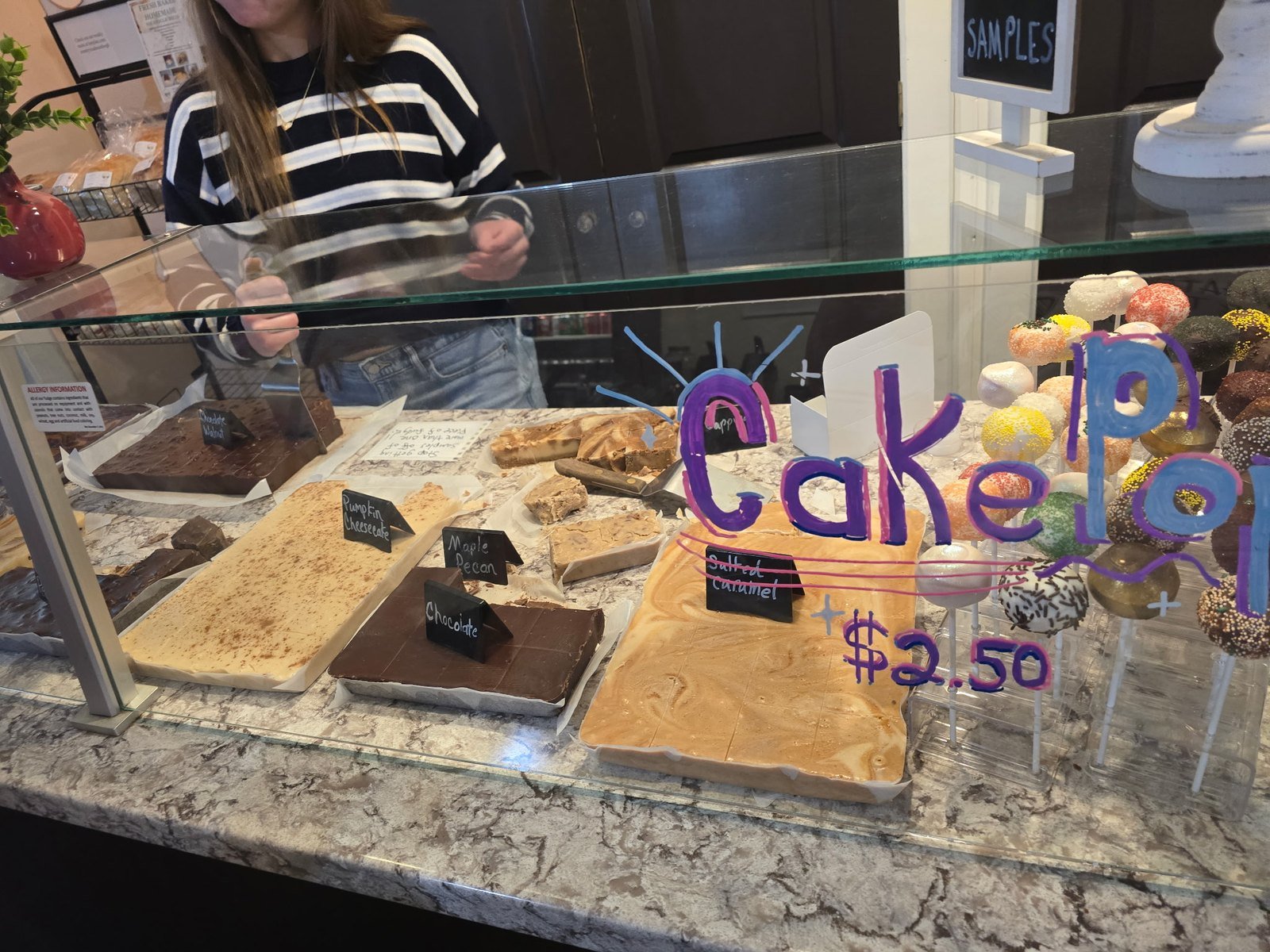 Homemade fudge in pumpkin cheesecake, maple pecan, chocolate and salted caramel flavors
